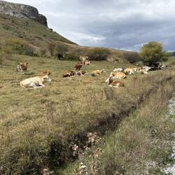 Early afternoon - it's siesta time
