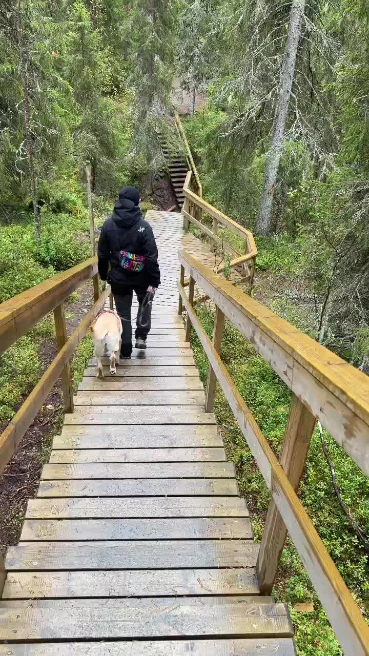 Von den Treppen gab es sehr viele🫣