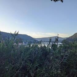 Früher Abend am Lac de Longemer