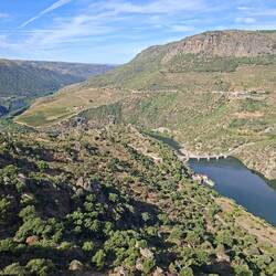 La vallée du Douro s'élargit, on commence à voir les premières vignes