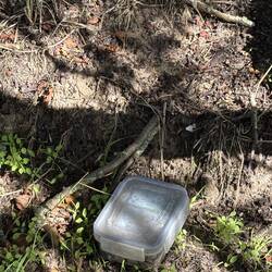 Geocache hidden in plastic box