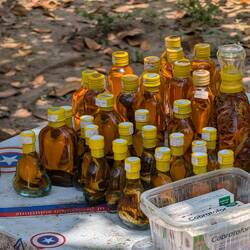 Snake wine. I did not try it.