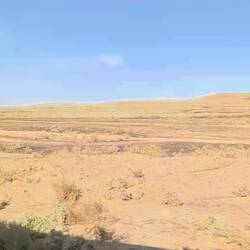 Driving through Kyzylkum desert