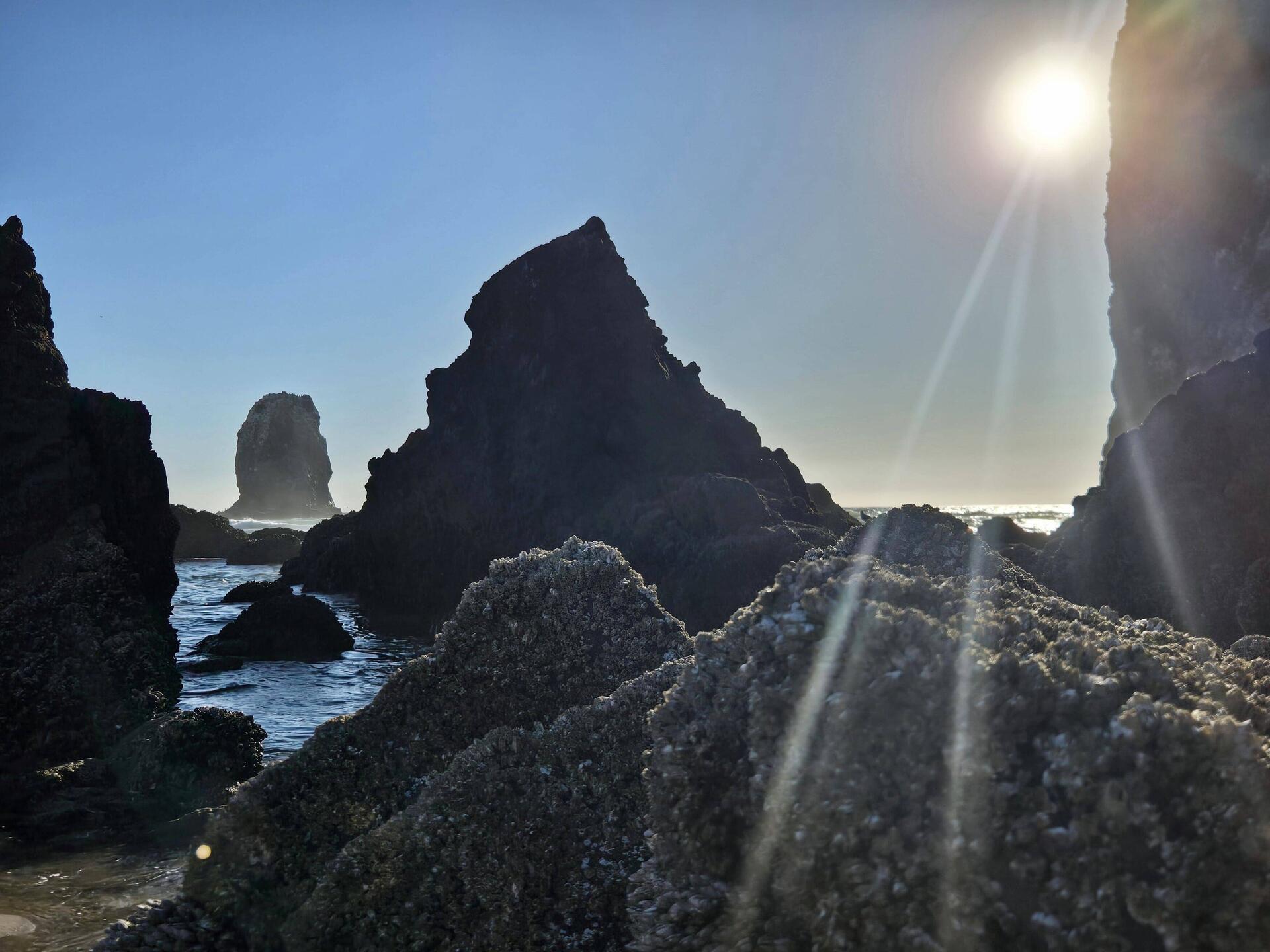 Cannon Beach