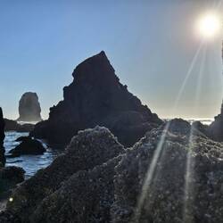 Cannon Beach