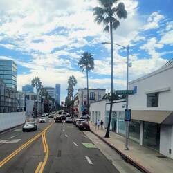 Rodeo Drive