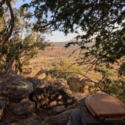 Poo with a view