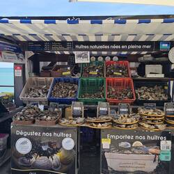 Ein Stand auf dem Austernmarkt in Cancale 🦪