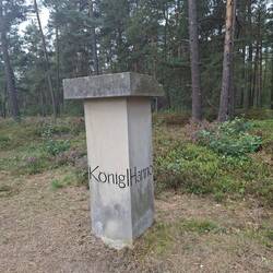 Ein Gedenkstein für Herrn Gaus - den mit der Verteilungskurve ...