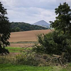 Hohe Linde, Halde bei Sangerhausen