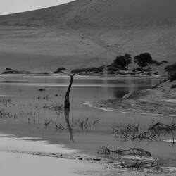 See bei Sossusvlei