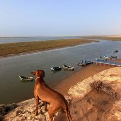 Khenifiss Nationalpark 👍