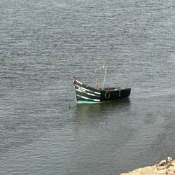 🎣