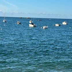 Die Boote haben auch alle genug Wasser unterm Kiel 😉