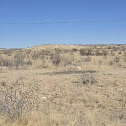 The desert landscape is vast