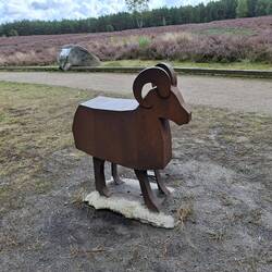🐏