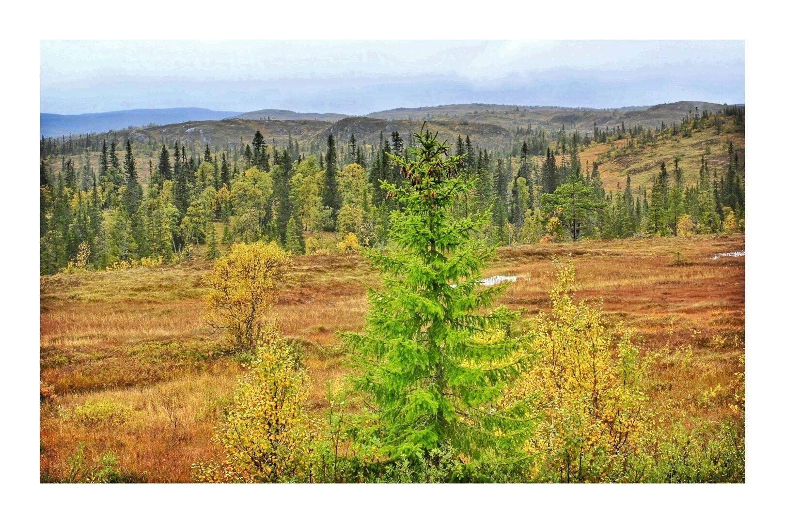 Eine wirklich schöne Landschaft entlang der 322