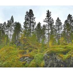 Kompletter Landschaftswechsel gleich hinter der norwegischen Grenze..