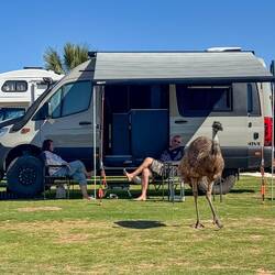 Besuch auf der Campsite! Dusty würde sich neben den Nachbarn auch wohl fühlen!