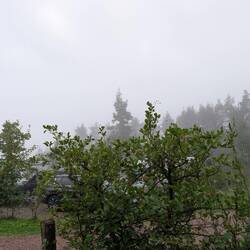 Und wieder mit Wolken zugezogen