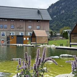 Schwimmteich
