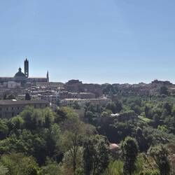 City Sightseeing in Siena