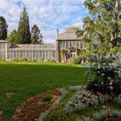 Orangerie