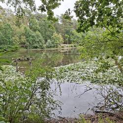 Groß-Hehlener See