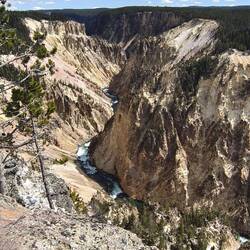 Canyon of Yellowstone