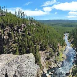Gibbon River