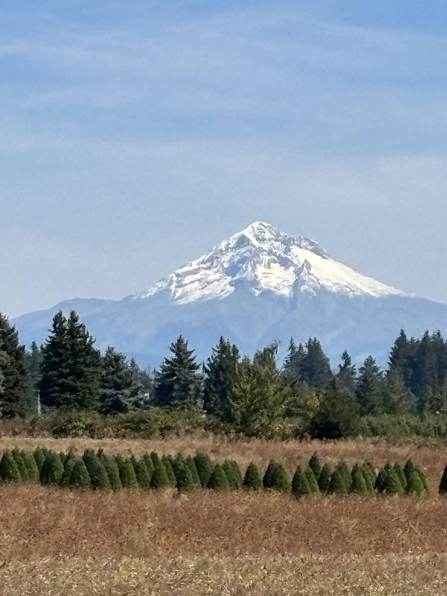 We had a good distant view of Mt. Hood