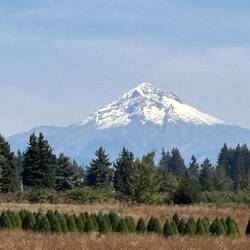 We had a good distant view of Mt. Hood