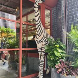 Outside the hotel