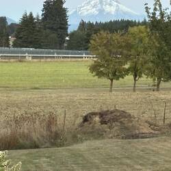 View from Vrbo rental
