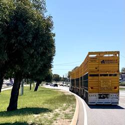 Die ersten "Road-Trains" tauchen auf, können bis zu 42 m lang werden 😳