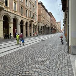 Ett foto har svårt att visa hur magnifika de är