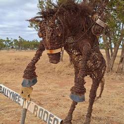 Bronc