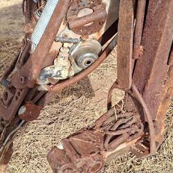 Detail in cutting horse