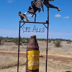 Thirsty Cockatoos