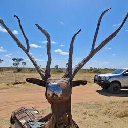 Deer