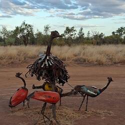 Emu and chicks