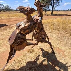 Fighting Red Kangaroos