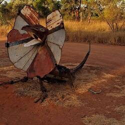 Frilled Neck Lizard