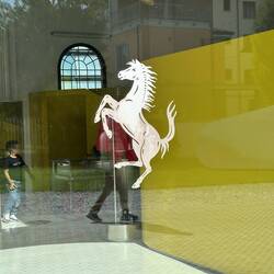 Cavallino - himself - som stegrar sig