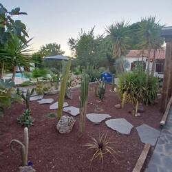 Garten vom Camping