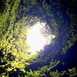 Algar do Carvão - ein Vulkanschlot.