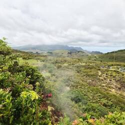 Vulkan- und Schwefelgebiet: Furnas do Enxofre.