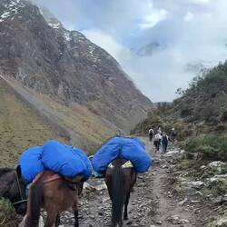 Immer wieder kommen die horsemen mit Pferden bzw. Eseln vorbei