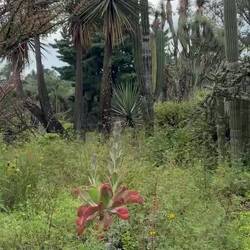 The following videos and photos are of the botanical collection. What a great day!!