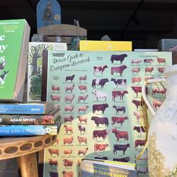 Henley Ag. Show on. Bookshop display includes poster we bought on our visit in 1990.